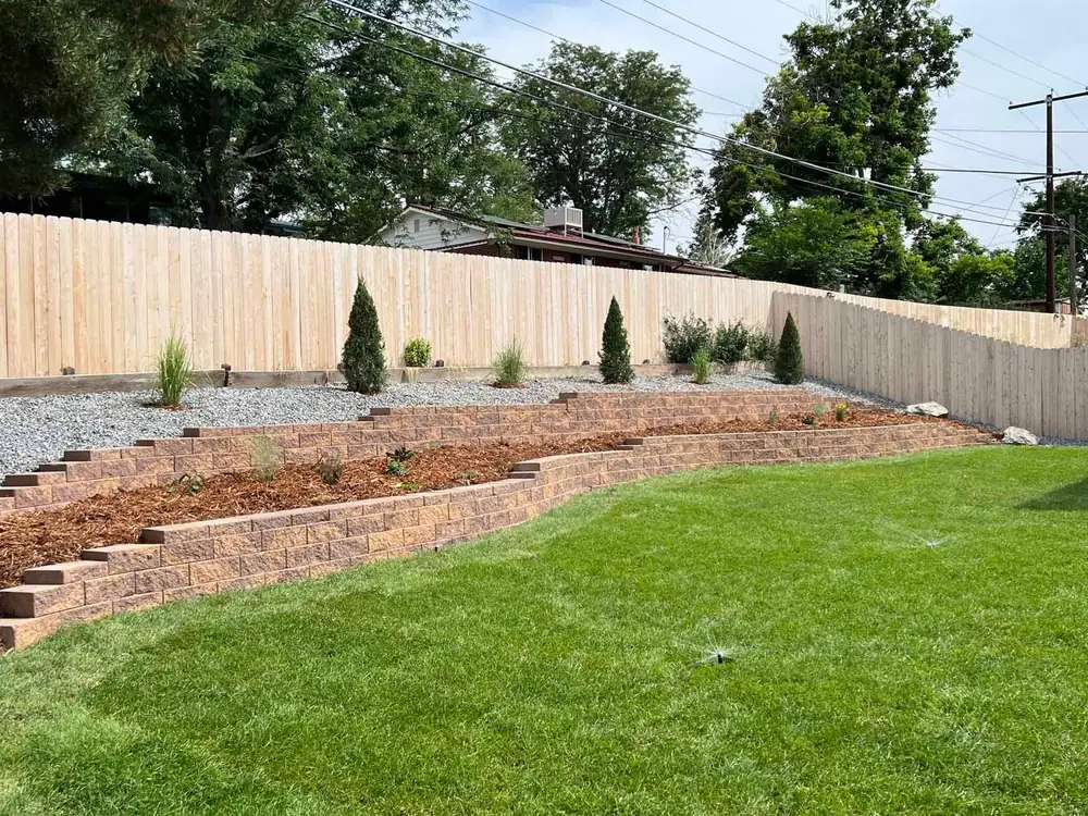 New sod below a terraced block wall planted with evergreens
