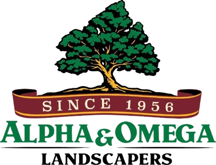 Alpha & Omega Landscapers logo: an oak tree over a ribbon reading Since 1956